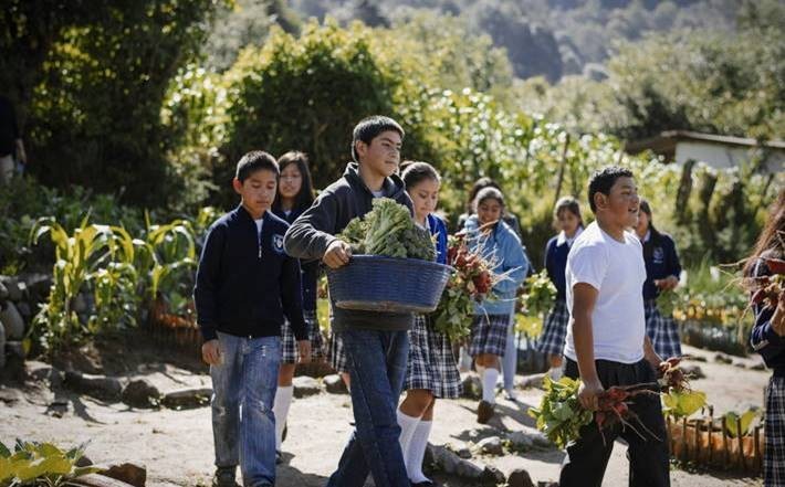 Guatemalai gyerekek az iskolai zöldséges terményével. Fotó: ©NOOR for FAO/Pep Bonet